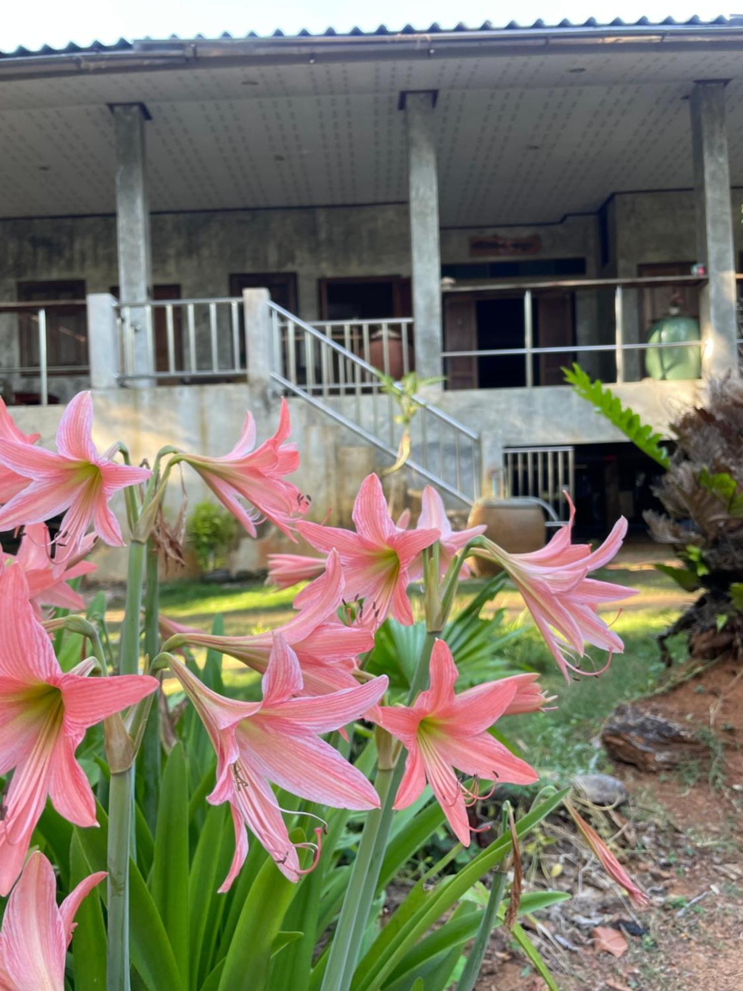 קו מאק Baanyaiguesthouse מראה חיצוני תמונה