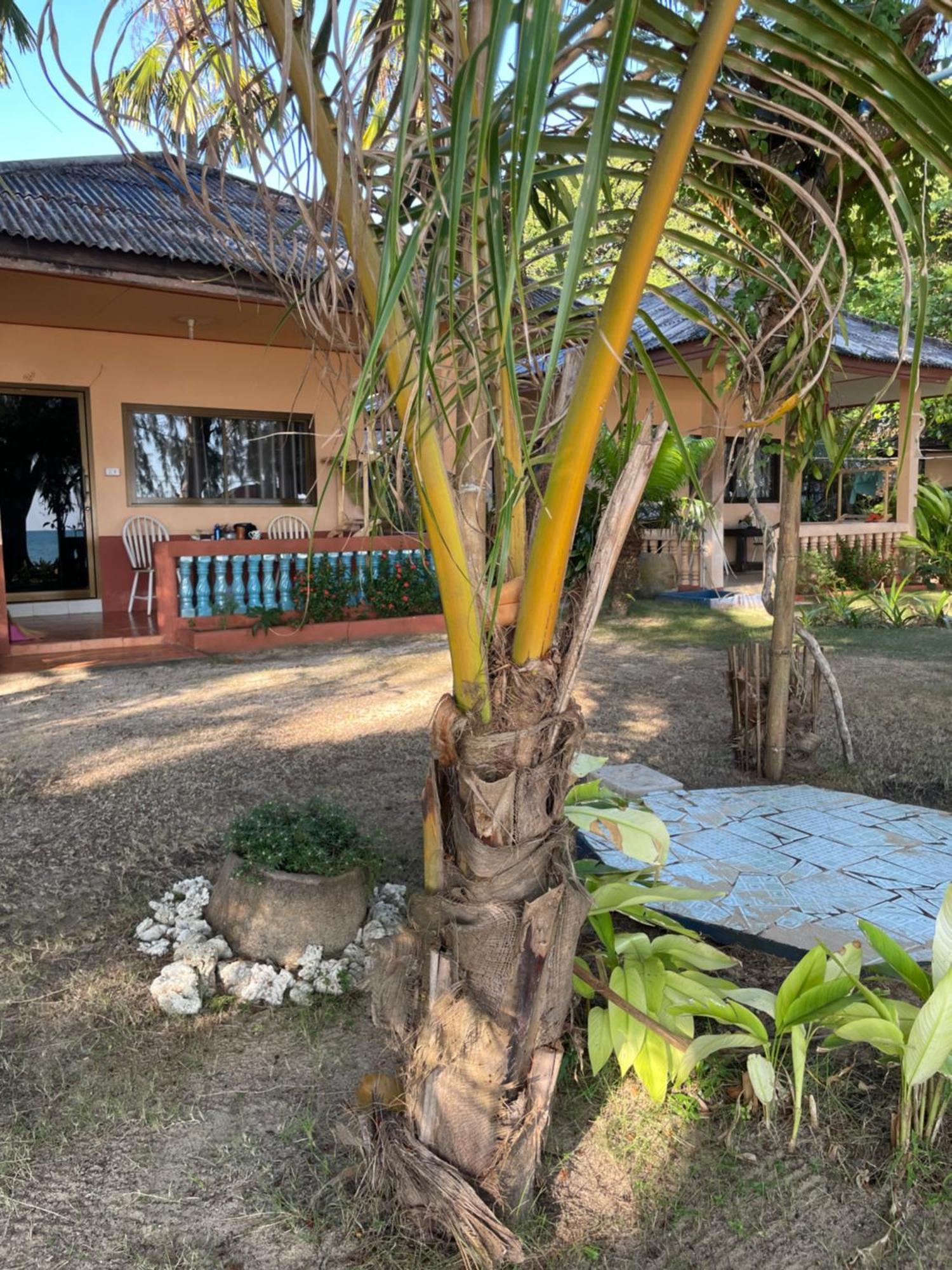 קו מאק Baanyaiguesthouse מראה חיצוני תמונה