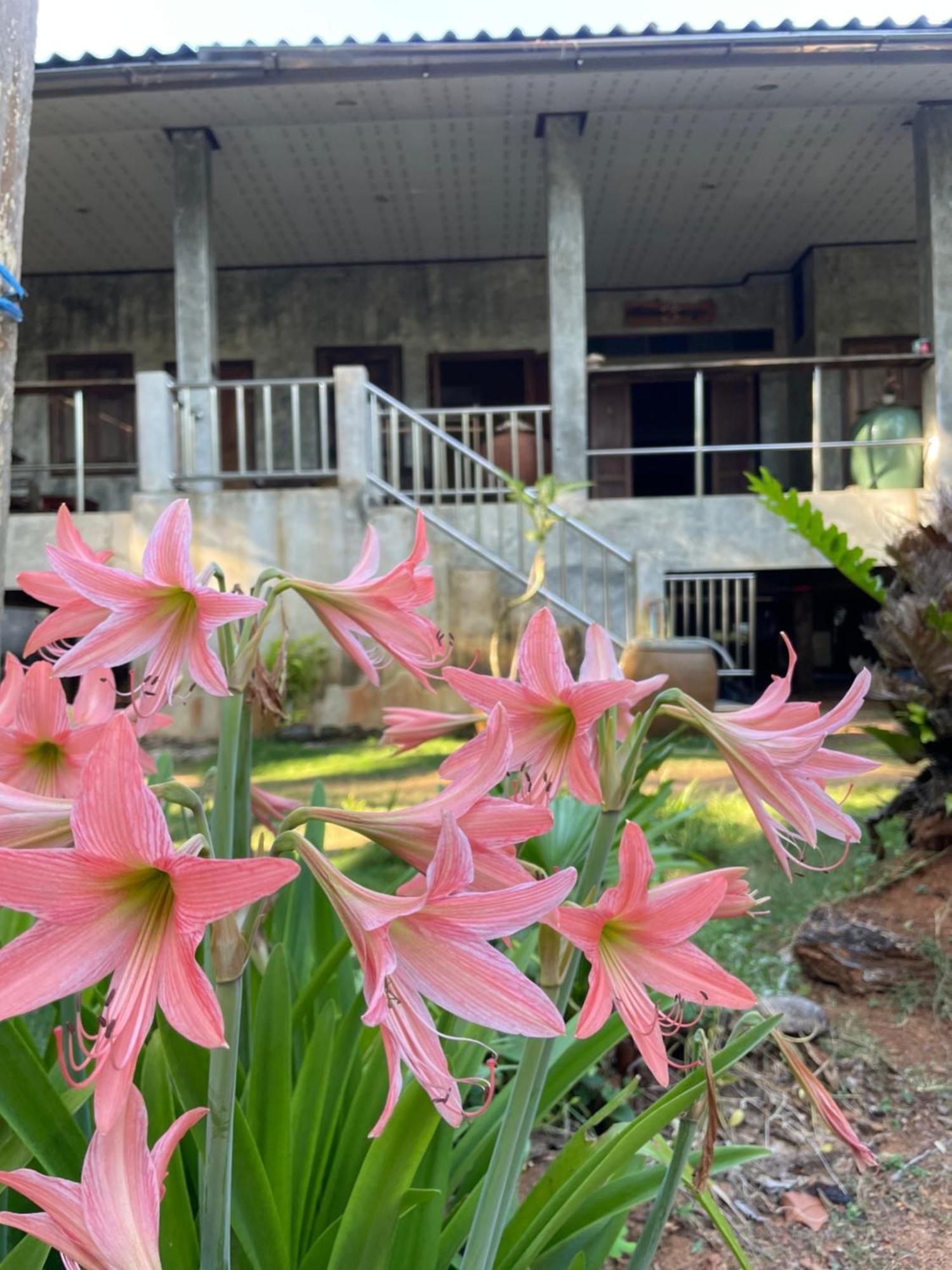 קו מאק Baanyaiguesthouse מראה חיצוני תמונה