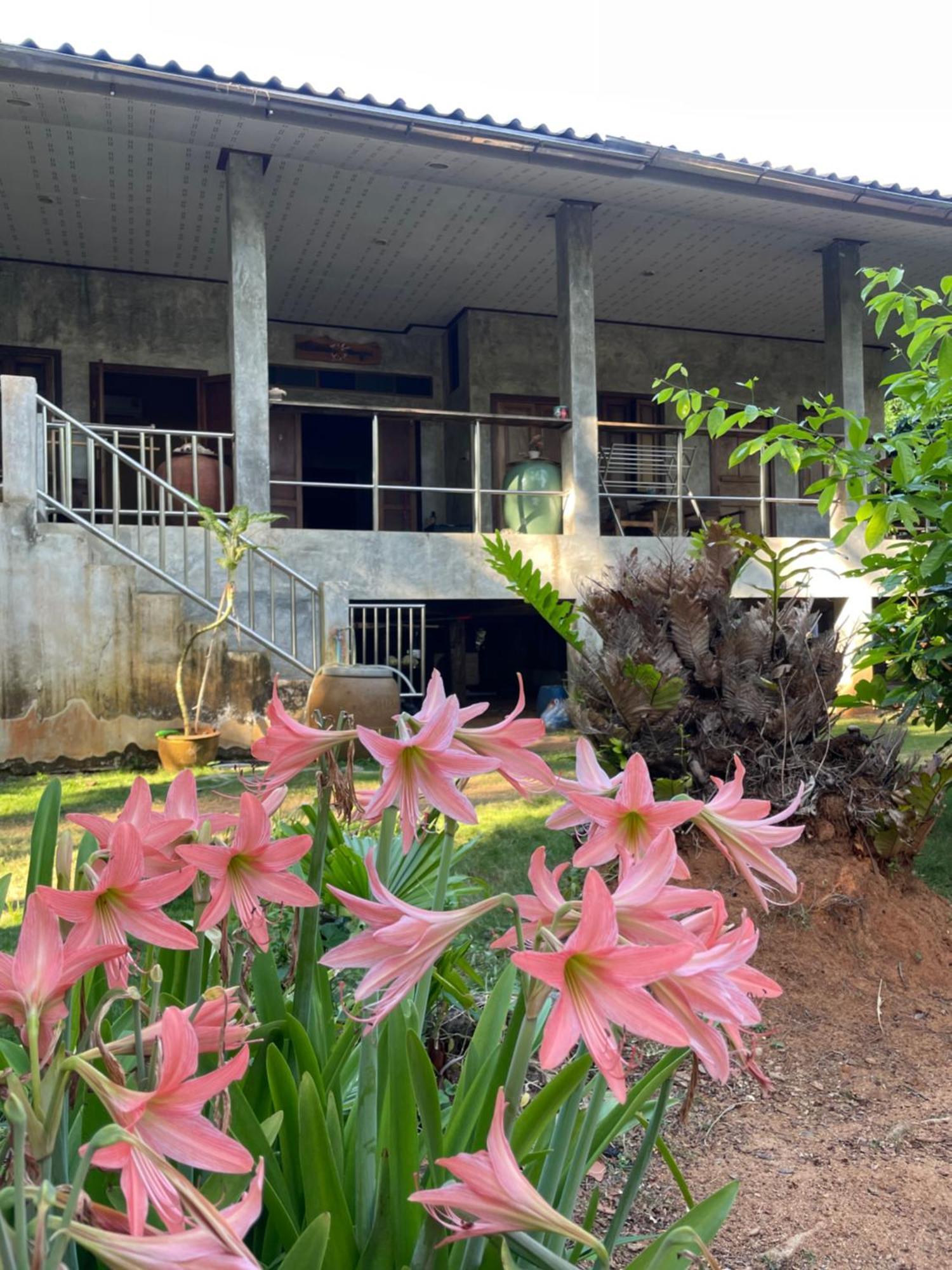 קו מאק Baanyaiguesthouse מראה חיצוני תמונה