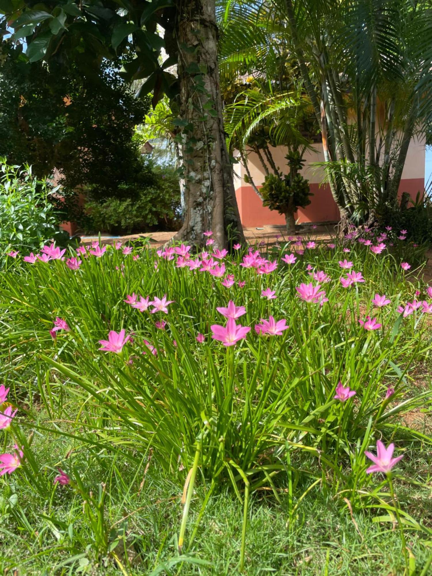 קו מאק Baanyaiguesthouse מראה חיצוני תמונה